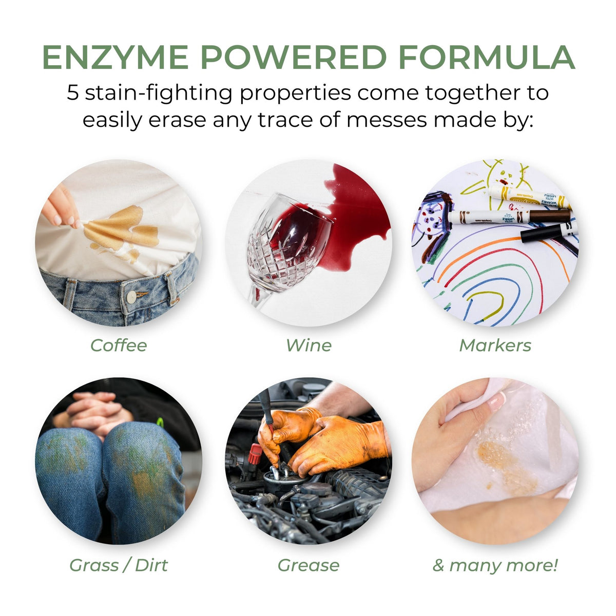 Infographic of Heritage Park All Purpose Laundry Detergent Enzyme formula