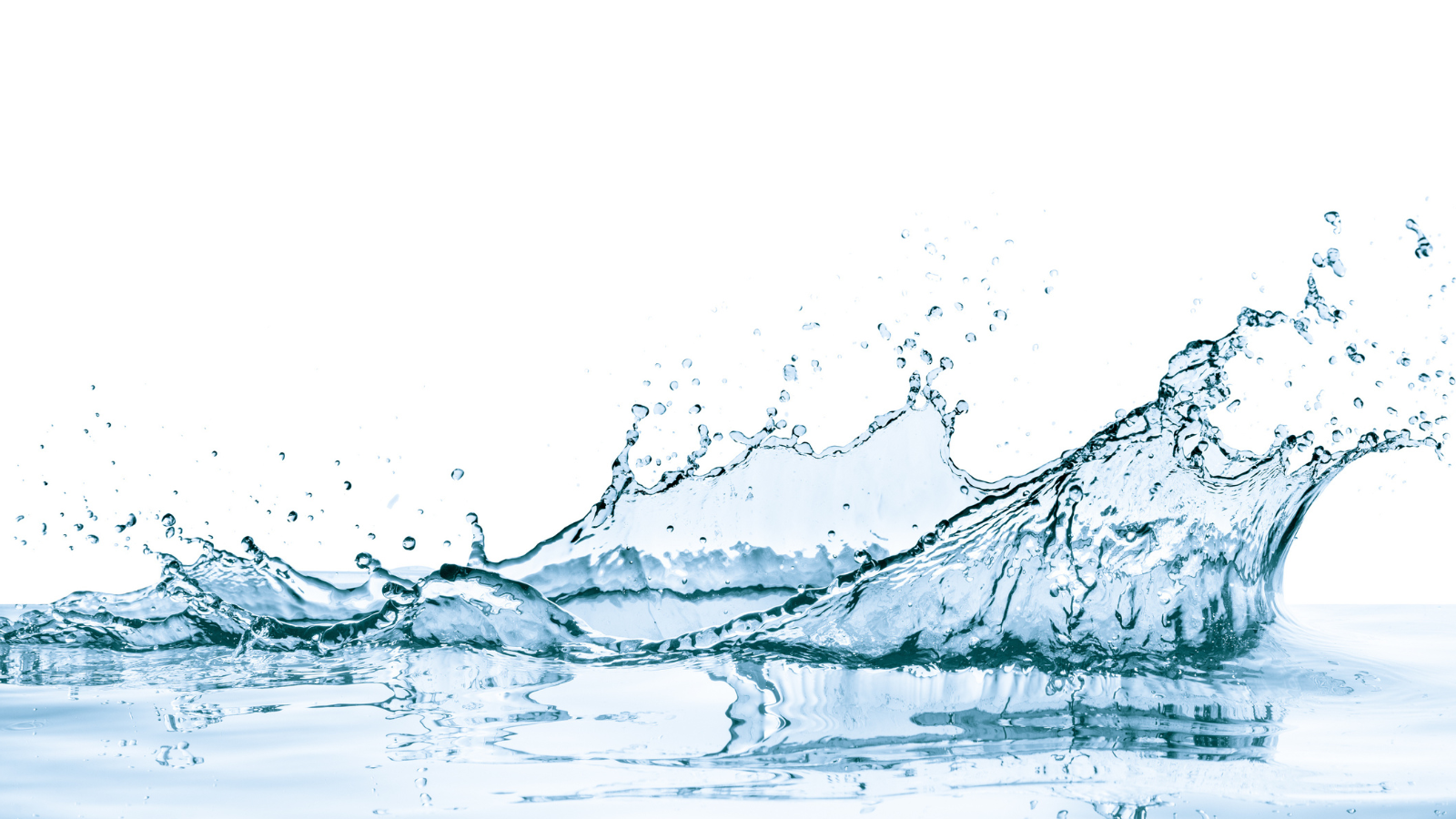 Activewear Enzyme Blend