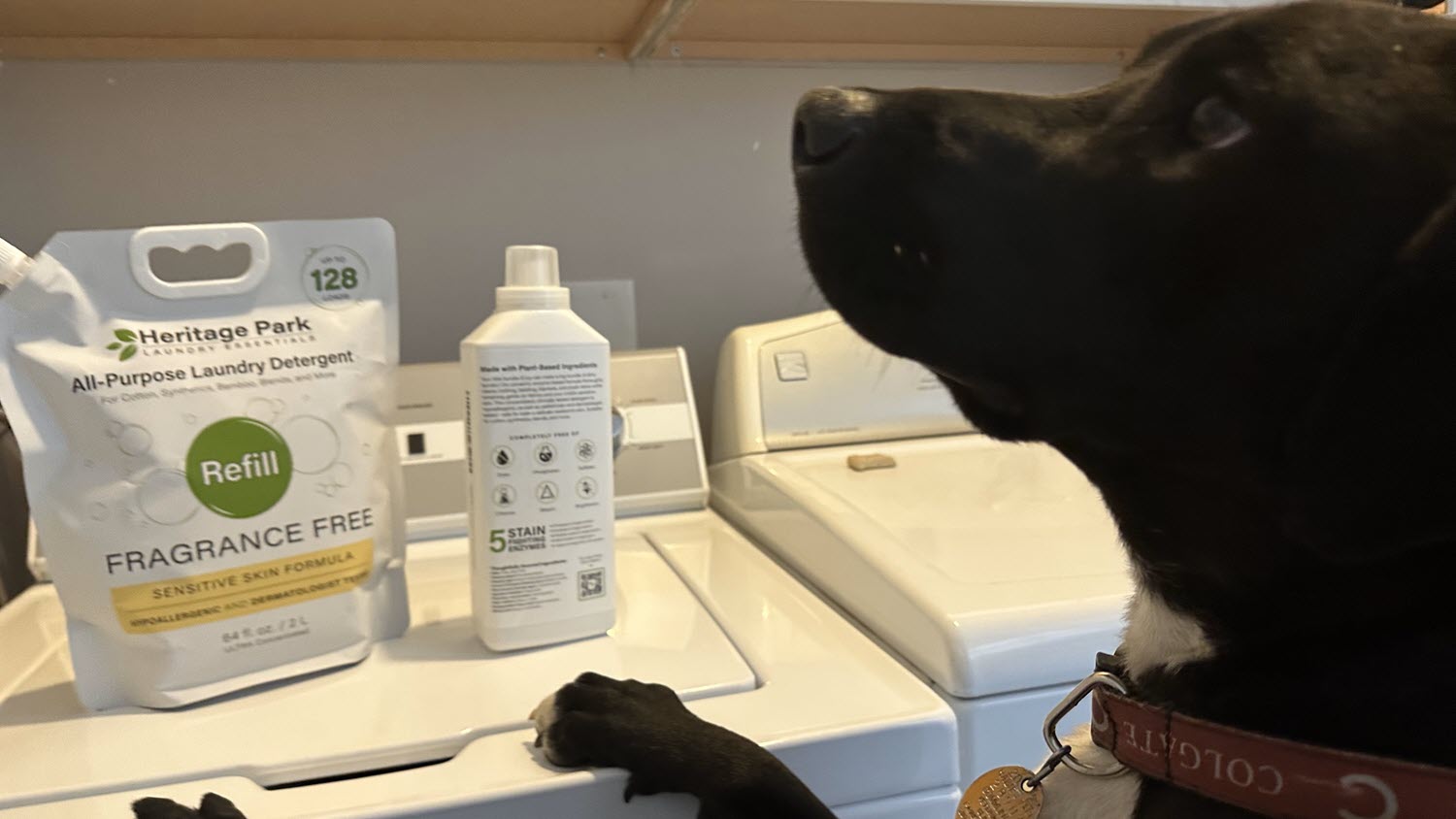 Use a Pet-Safe Hypoallergenic Detergent for Your Pet's Gear and Accessories